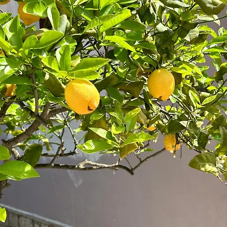 Casa Mammai * San Sperate