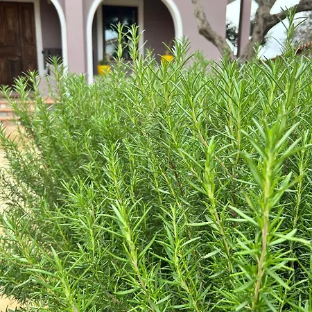 Casa Mammai San Sperate