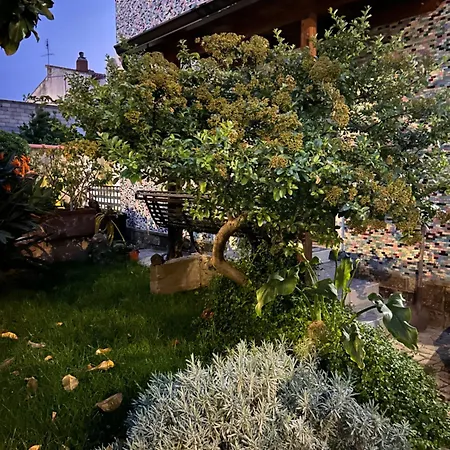 Casa Mammai *